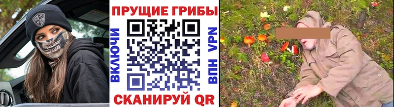 Галлюциногенные грибы GOLDEN TEACHER  Почеп 